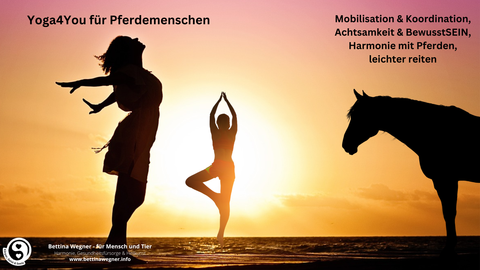 Besser und leichter Reiten,
mehr effektiv und verständlich SEIN
keine widersprüchlichen Hilfe mehr geben - Dein Pferd / Pony dankt es Dir!
